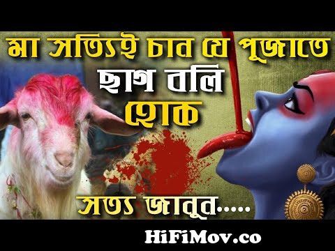 কালী পূজায় পাঠা বলি | পশুবলি কতটা যৌক্তিক?| patha boli - Animal sacrifice  in Hinduism from ভারতের পাঠা বলি Watch Video 