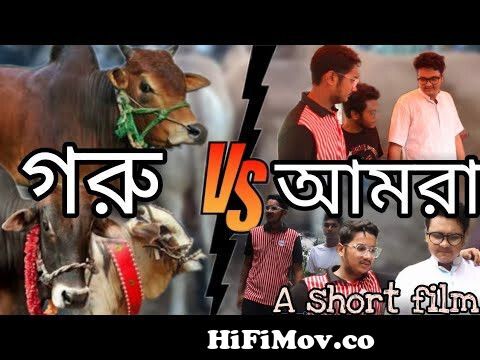Qurbani eid 2021 |Gorur hat 2021 | Bangla funny video | Funny short film  from gorur hat bengali comedy Watch Video 