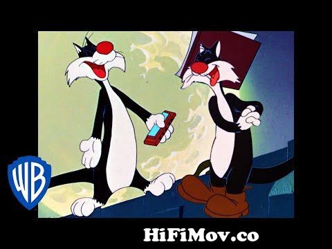 Looney Tunes | Back Alley Oproar | Classic Cartoon | WB Kids from opoar  Watch Video 