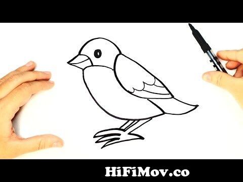 Cómo dibujar un Pájaro paso a paso para niños | Dibujo de animales para  niños from numero 22 para colorear Watch Video 