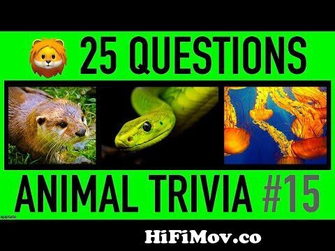 Can You Answer These General Knowledge Questions? | Ultimate Trivia Quiz  Game #38 from nature quiz Watch Video 