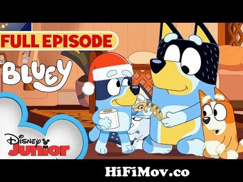 Holiday Full Episode | Bluey | Verandah Santa | S1 E52 | Full Episode |  @disneyjunior from @ zenalerd blayd cartoon telugu full movie s Watch Video  