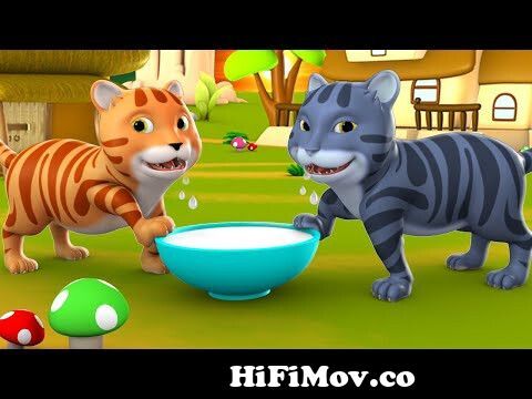 The Monkey And Two Cats 3D Animated Hindi Moral Stories for Kids बंदर और दो  बिल्लियों कहानी Tales from dowload bhigi billi full cartoon video dhakawak  com Watch Video 