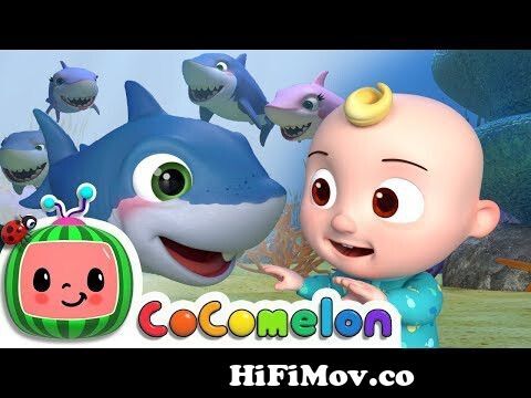 Baby Shark | CoComelon Nursery Rhymes & Kids Songs from chat heme cartoon  just shetty with salman khan naked video download climax Watch Video -  