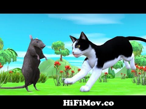 बिल्ली और चूहा Rat and Cat Hindi Kahaniya - Panchatantra Moral Stories - 3D  Hindi Fairy Tales from motu patlu chuha bili Watch Video 