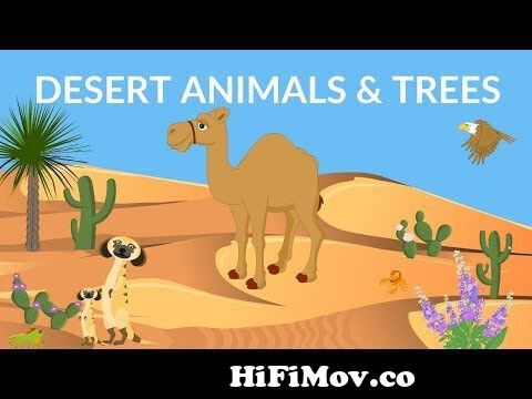 Desert Animals and Plants | Desert Ecosystem | Desert Video for kids from  that live in the desert and tundra Watch Video 