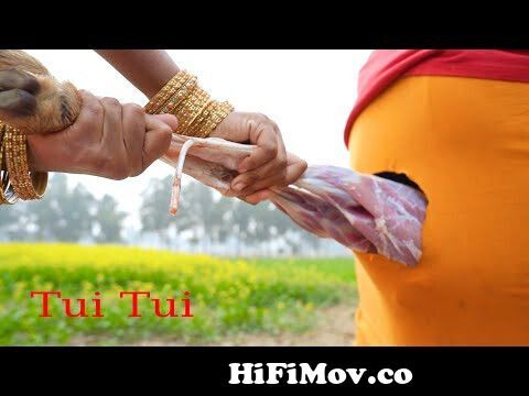 Tui Tui UnlimitedComedy Video😂Tui tui Best Funny Video 2022😂Special New  Video from sona ka pani video gp Watch Video 