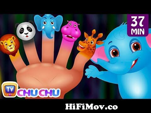 Finger Family Nursery Rhymes | Animal Finger Family Songs Collection | Learn  Wild Animals | ChuChuTV from chuchh Watch Video 