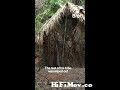 Jump To the last remaining member of an uncontacted brazilian tribe has died preview 1 Video Parts