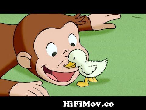 George Goes to the Doctor 🐵 Curious George 🐵 Kids Cartoon 🐵 Kids Movies  