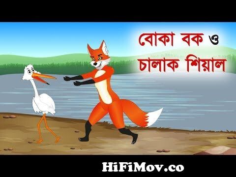 বোকা বক ও চালাক শিয়াল | Fox Cartoon | Bangla Cartoon Story | বাংলা কার্টুন  from বক Watch Video 