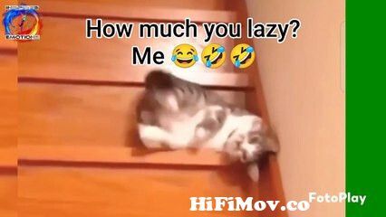How much you lazy? Me#inspiresemotions #jokes #funny #comedy #lol #trending  #shorts #viral #reels from ghen ghen joke Watch Video 