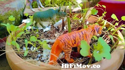 Wild Animal Toys Collection- Fun Toys For Kids, Learn Animals Name from  tiger no one movie sakib knan oll song mp3 download Watch Video 