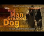 Animal Documentary HD