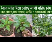 Nature of Bd_Sylhet