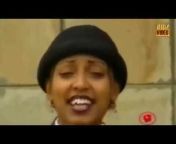 Ethio Collection