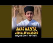 Anas Nazeer - Topic