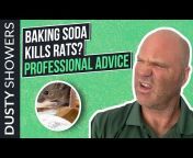 Dusty Showers Pest Tips u0026 Animal Rescues