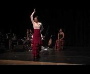 Flamenco India