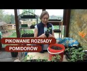 Ogrodnictwo Intuicyjne - Permakultura TV