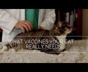 Veterinary Secrets