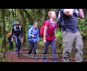 Kilimanjaro Brothers Climbing and Adventure Company Ltd.