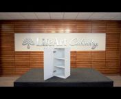 LifeArt Cabinetry