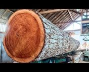 Wood sawmill factory