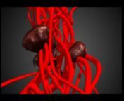 3DNA Medical Animation
