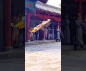 Chinese kung fu