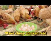 Chicken Farm 98