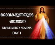 Divine Mercy Daily News