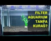 Hobi Aquarium