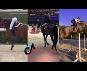 -Equestrian edit-