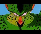 IMPERFECT CELL
