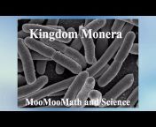 MooMooMath and Science