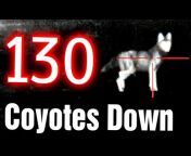 Coyote Down