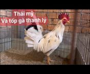 Trại gà Nam Phát kiên giang khu đổ gia công