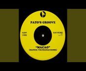 Pato&#39;s Groove - Topic