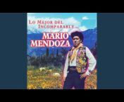 Mario Mendoza - Topic
