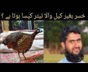 Pak Birds Care And Tips