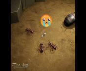 The Ants: Underground Kingdom_DE_IT