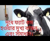 Dairy gyan u0026 farming.( Bengal)