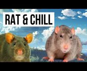 The Rat Review