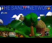 THE SANDY NETWORK