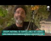 GNSA - Groupe National de Surveillance des Arbres