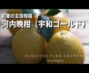YAMAUCHI FARM CHANNEL