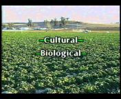 horticulturevideos