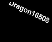 Dragon16508