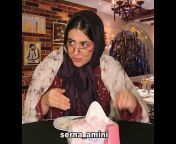 Serna Amini